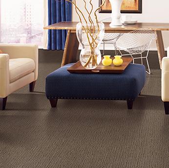 Alexander Smith Carpet Collection Woodbury Mn Erskine Floors