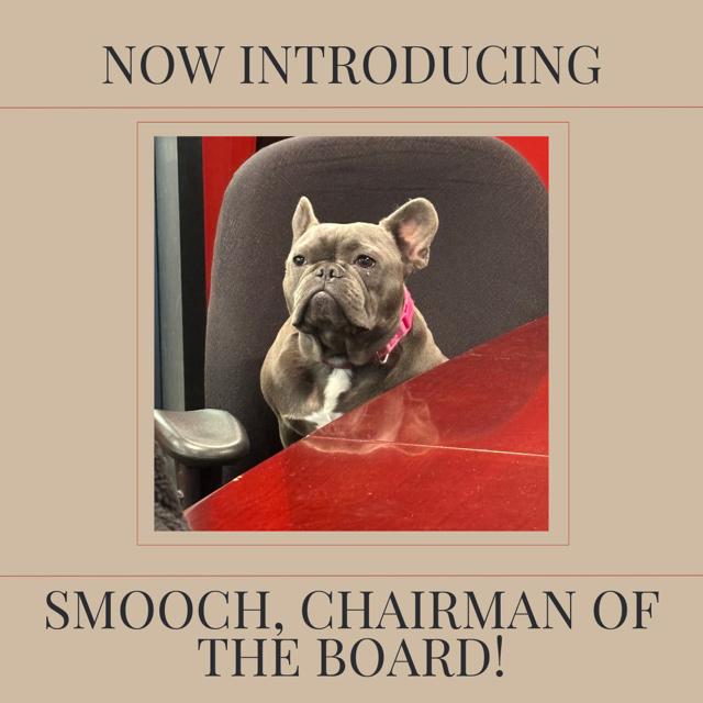 Now Introducing Smooch, Chairman of the Board!