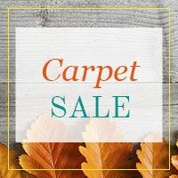 Carpet Sale Going On Now! $1,000 Instant Rebate - Free professional installation - Free financing